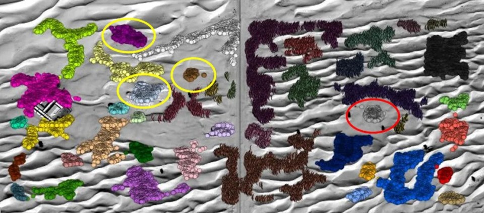 Esta imagem de satélite anotada mostra as escavações anteriores e em andamento (círculo amarelo) e as áreas que a IA previu para possíveis estruturas enterradas (círculo vermelho)