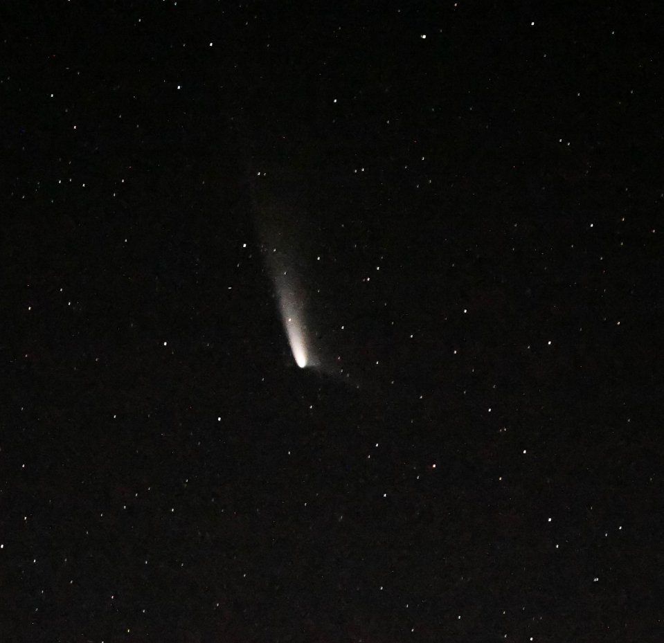 A rocha espacial vem da Nuvem de Oort, uma concha gigante ao redor do nosso sistema solar que abriga milhões de cometas e outros pedaços de detritos gelados.