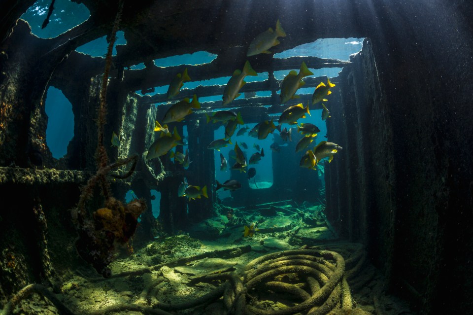 Os restos do Flor de la Mar nunca foram encontrados, e o navio provavelmente foi pego pela corrente e puxado para o mar