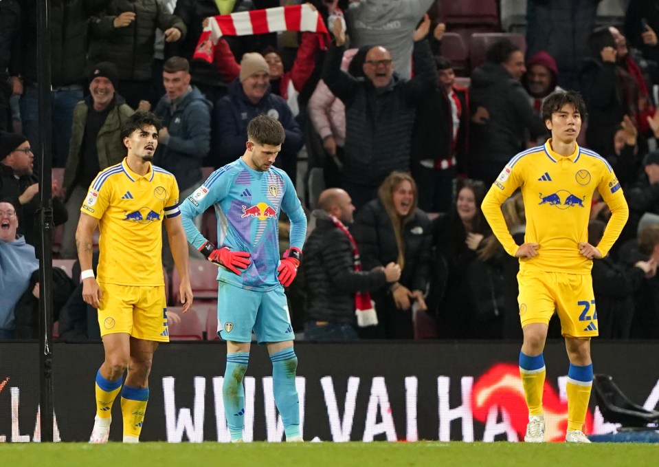 O Leeds parecia arrasado depois que Meslier deu um ponto ao Sunderland