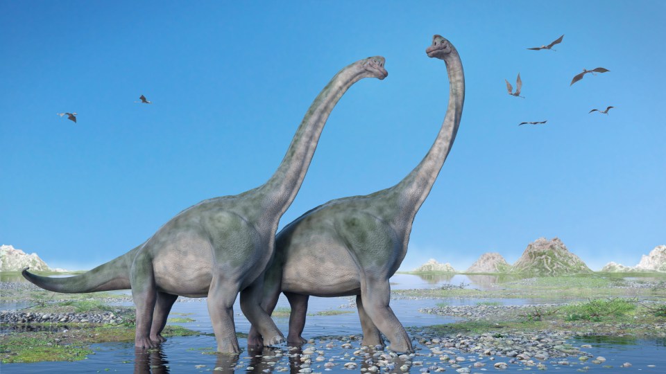 Dois saurópodes famosos incluem Little Foot from The Land Before Time (Apatosaurus) e o Brachiosaurus, que ficou famoso pelo icônico filme dos anos 90 Jurassic Park