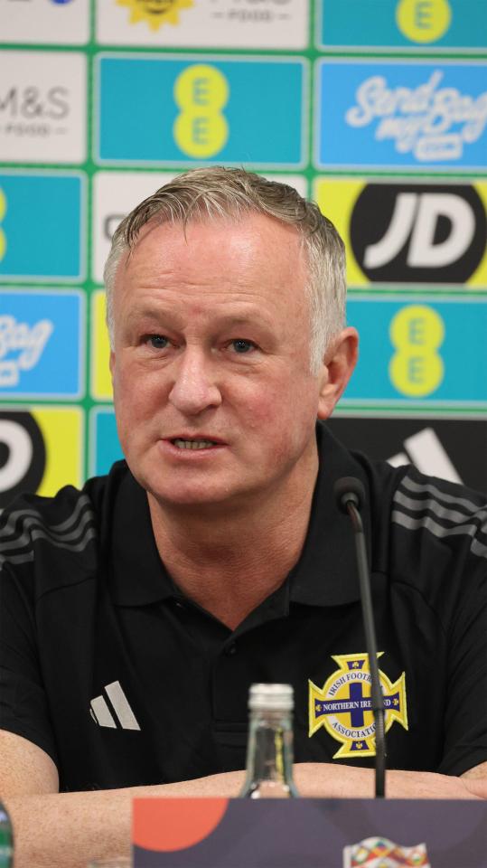 O seleccionador da Irlanda do Norte, Michael O'Neill, admite que a situação é 