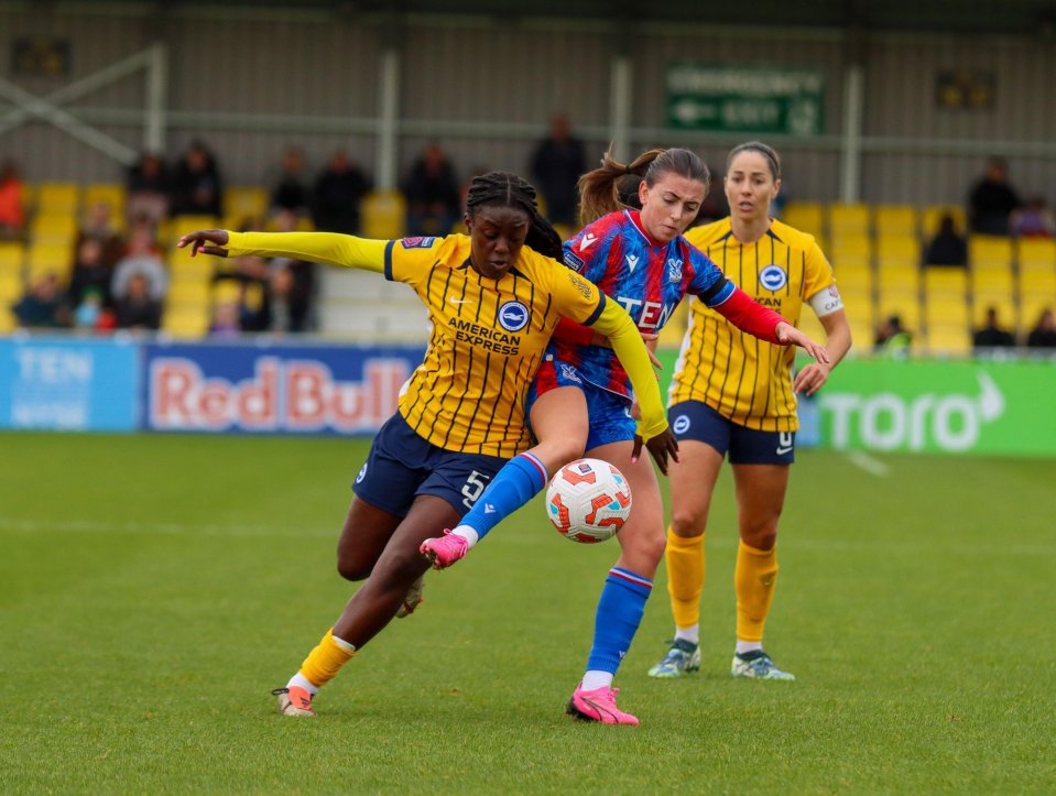 Os Seagulls registraram três vitórias em seus primeiros quatro jogos da WSL nesta temporada