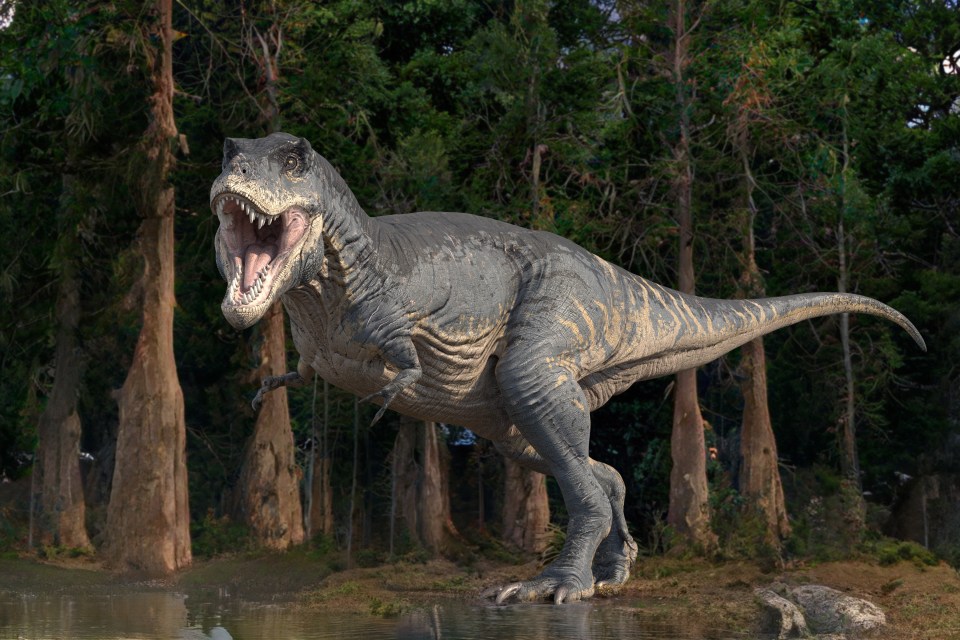 O Tyrannosaurus rex foi um dos maiores predadores de todos os tempos