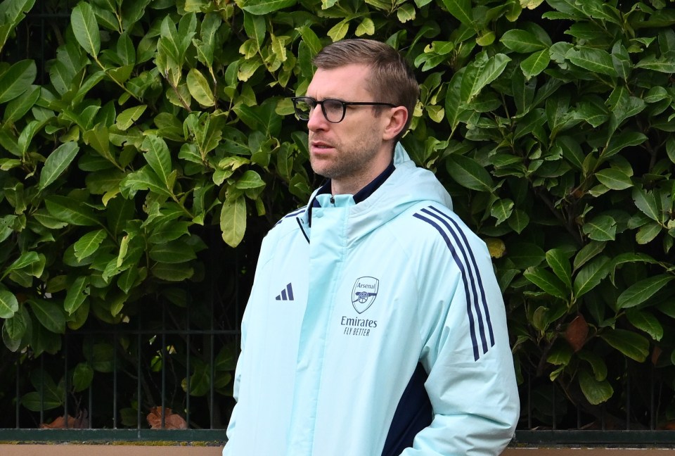 O técnico da academia do Arsenal, Per Mertesacker, é um dos candidatos