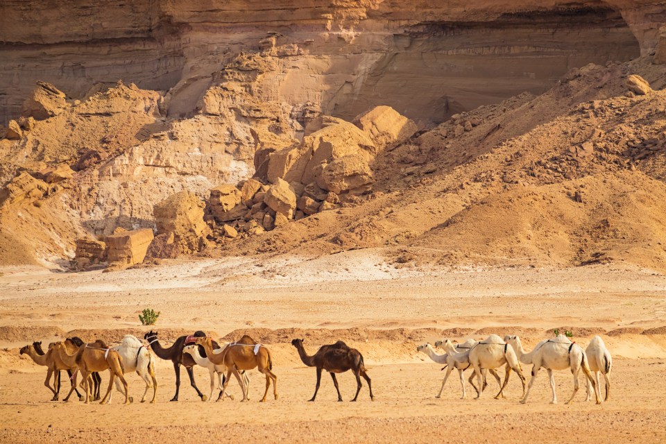 Jeddah possui muitas temperaturas mais advertentes