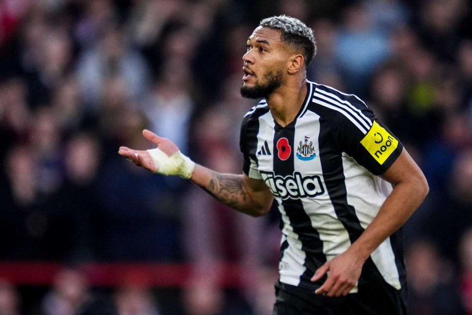 A estrela em ação do Newcastle