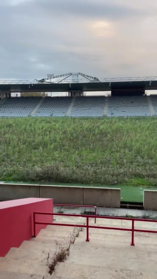 O campo ficou completamente coberto de vegetação