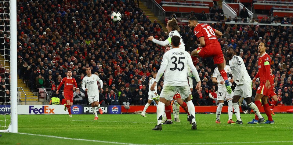 Gakpo marcou de cabeça o segundo gol do Liverpool e garantiu os três pontos