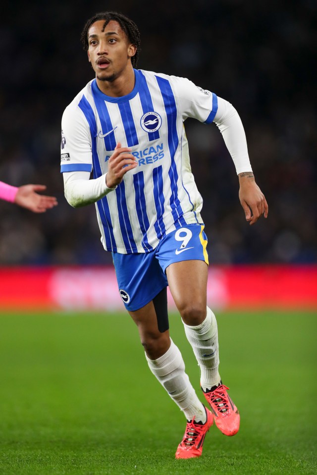 João Pedro impressionou enquanto jogava pelo Brighton