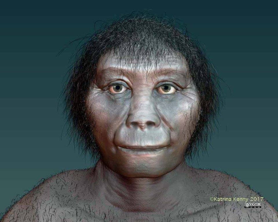 Fósseis de Homo floresiensis foram descobertos pela primeira vez em 2003 na ilha indonésia de Flores