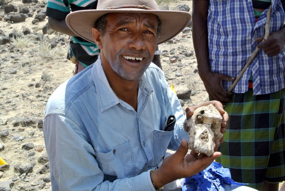 Yohannes Haile-Selassie segura um crânio fossilizado de Australopithecus anamensis