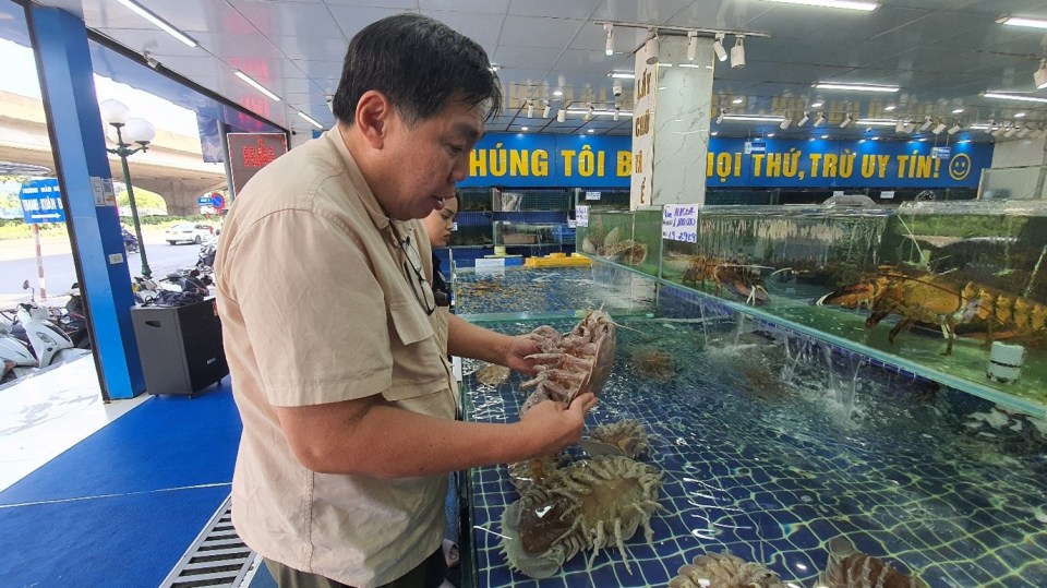 Um homem examinando um isópode gigante, uma espécie recém-descoberta chamada Bathynomus vaderi, em um mercado vietnamita de frutos do mar.